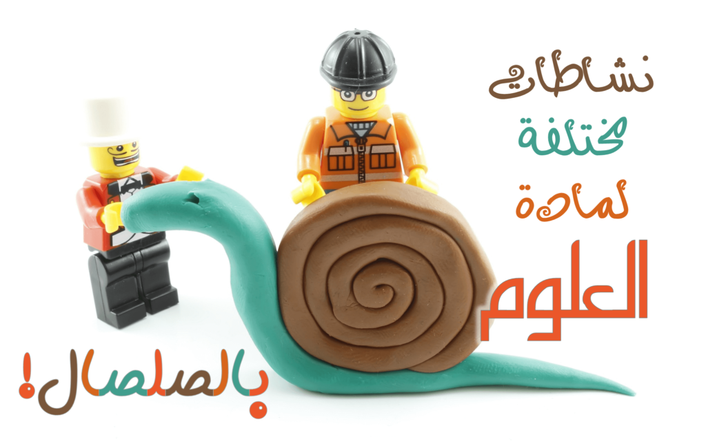 نشاطات مختلفة لمادة العلوم بالصلصال