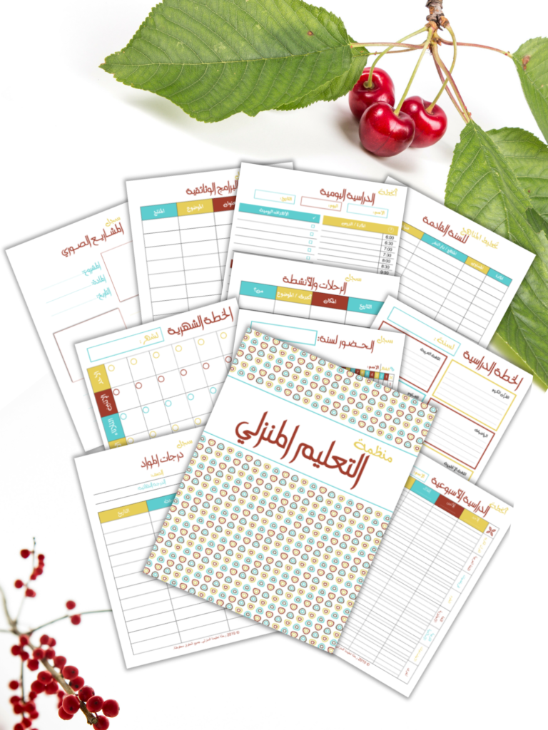 منظمات التعليم المنزلي