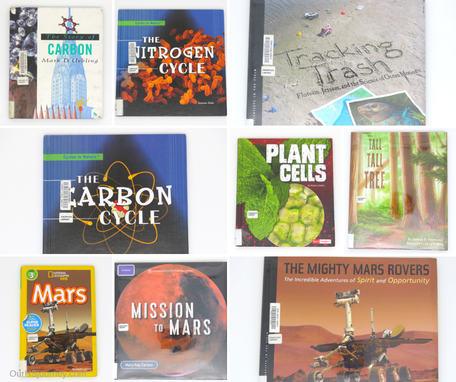 التعليم اللامدرسي: تجربتنا مع التعليم المنزلي اللامدرسي في الإجازة الصيفية