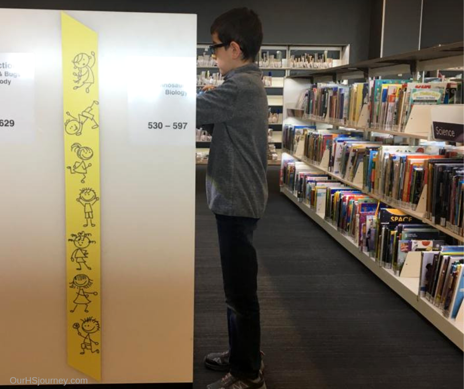 التعليم اللامدرسي: تجربتنا مع التعليم المنزلي اللامدرسي في الإجازة الصيفية